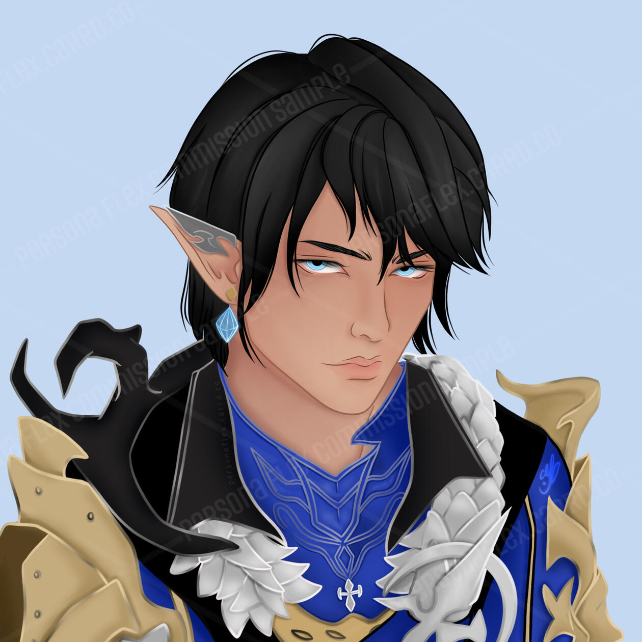 Ser Aymeric (Portrait, Simple Background)